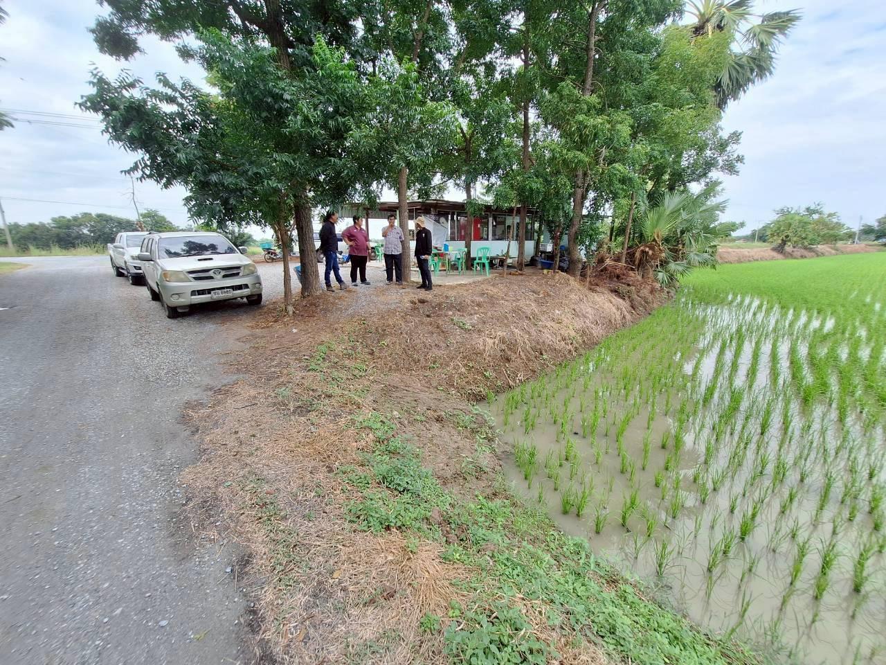 ภาพประกอบที่ 15