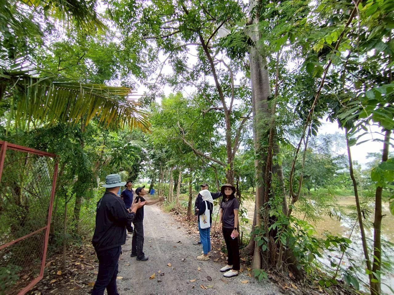 ภาพประกอบที่ 1