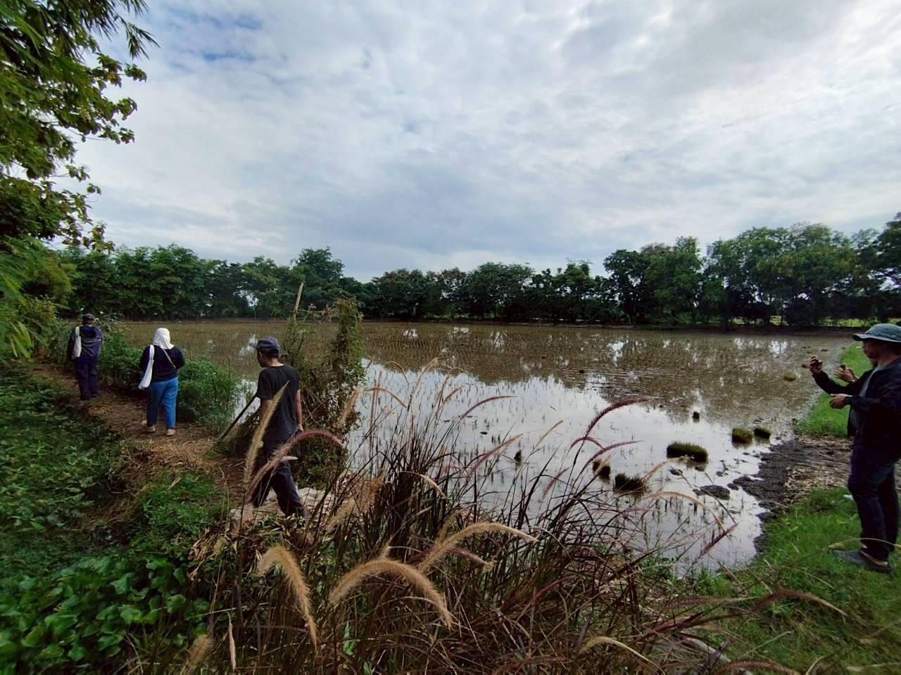 ภาพประกอบที่ 2