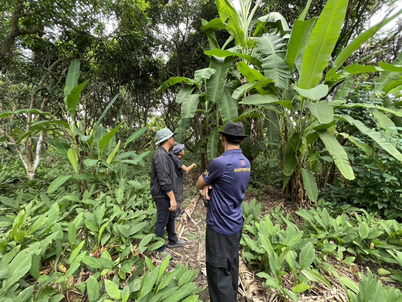 ภาพประกอบที่ 3