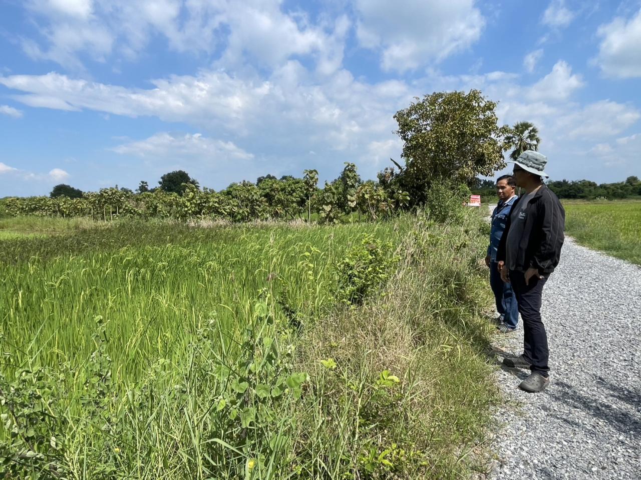 ภาพประกอบที่ 6