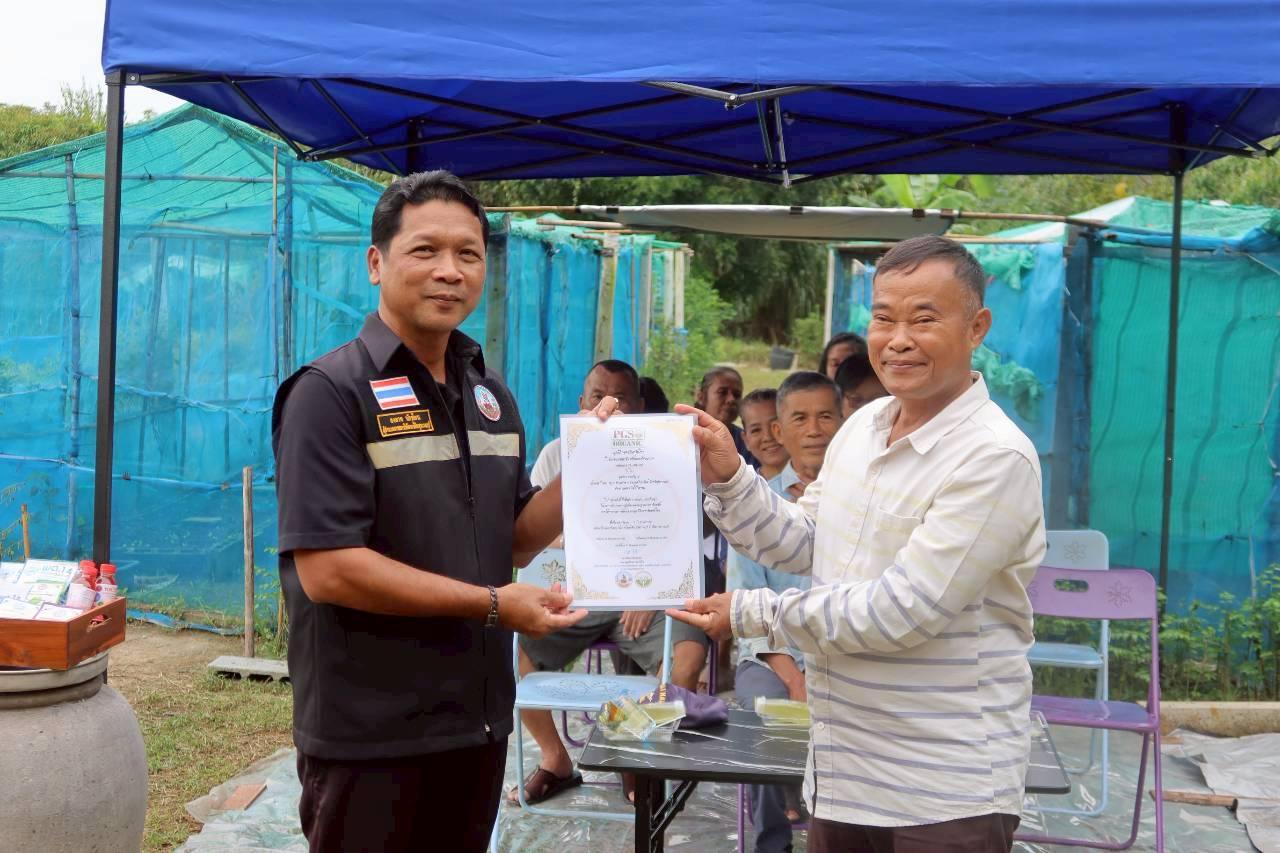 ภาพประกอบที่ 1