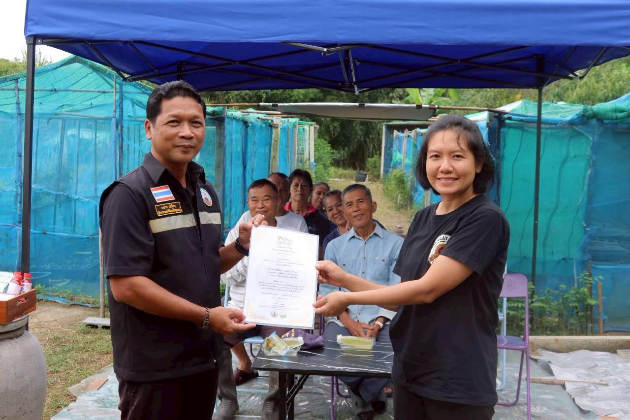 ภาพประกอบที่ 2