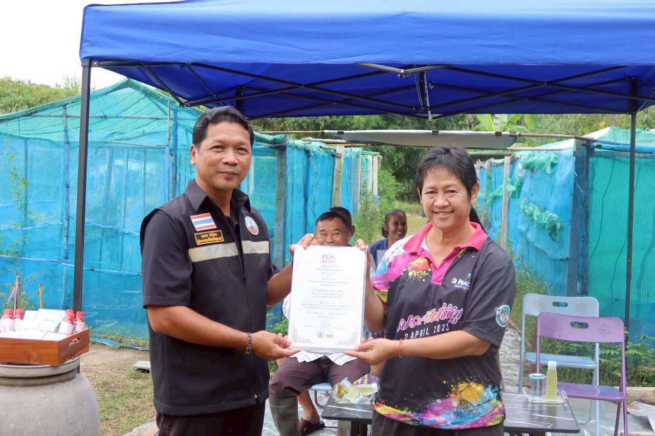 ภาพประกอบที่ 5