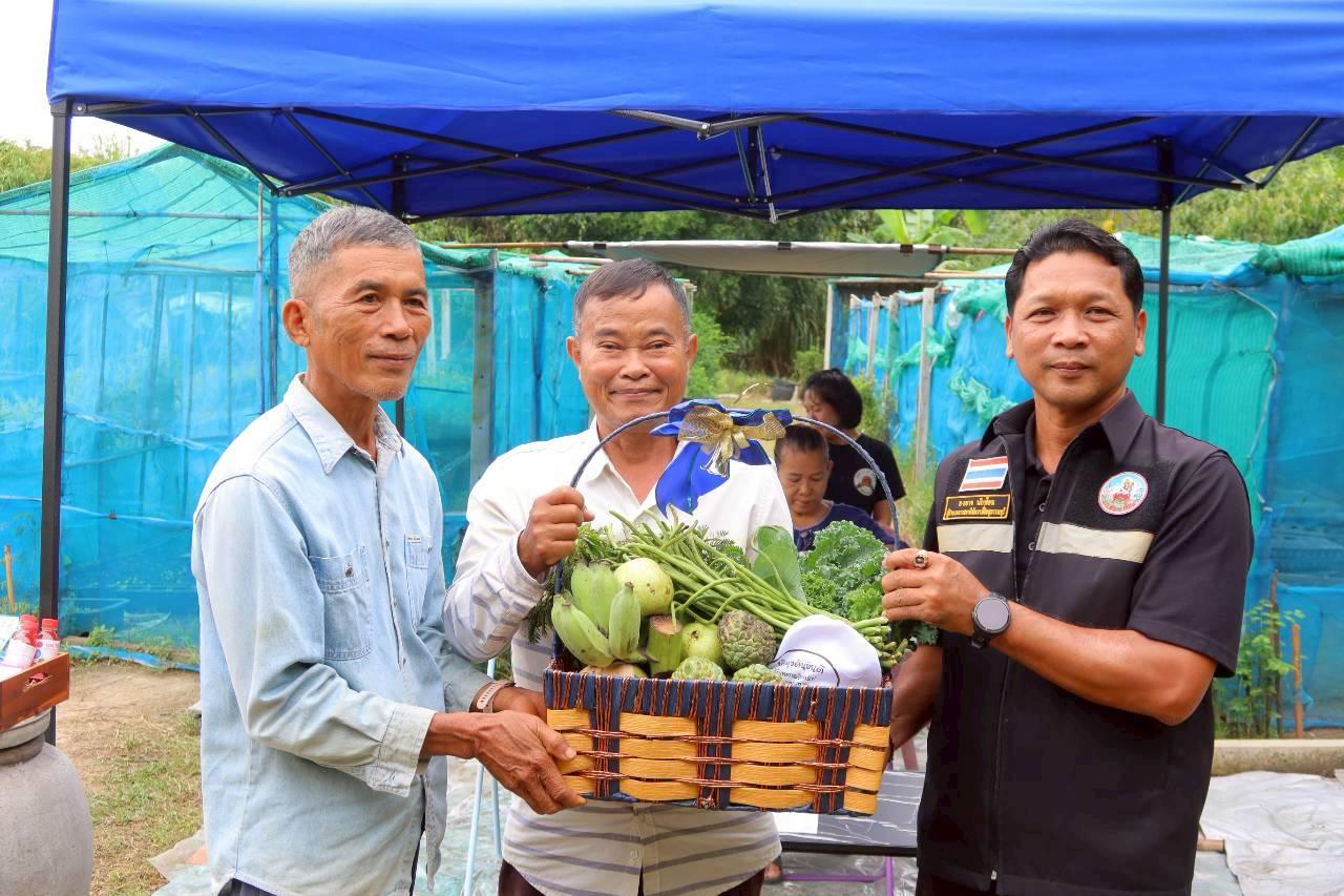 ภาพประกอบที่ 11