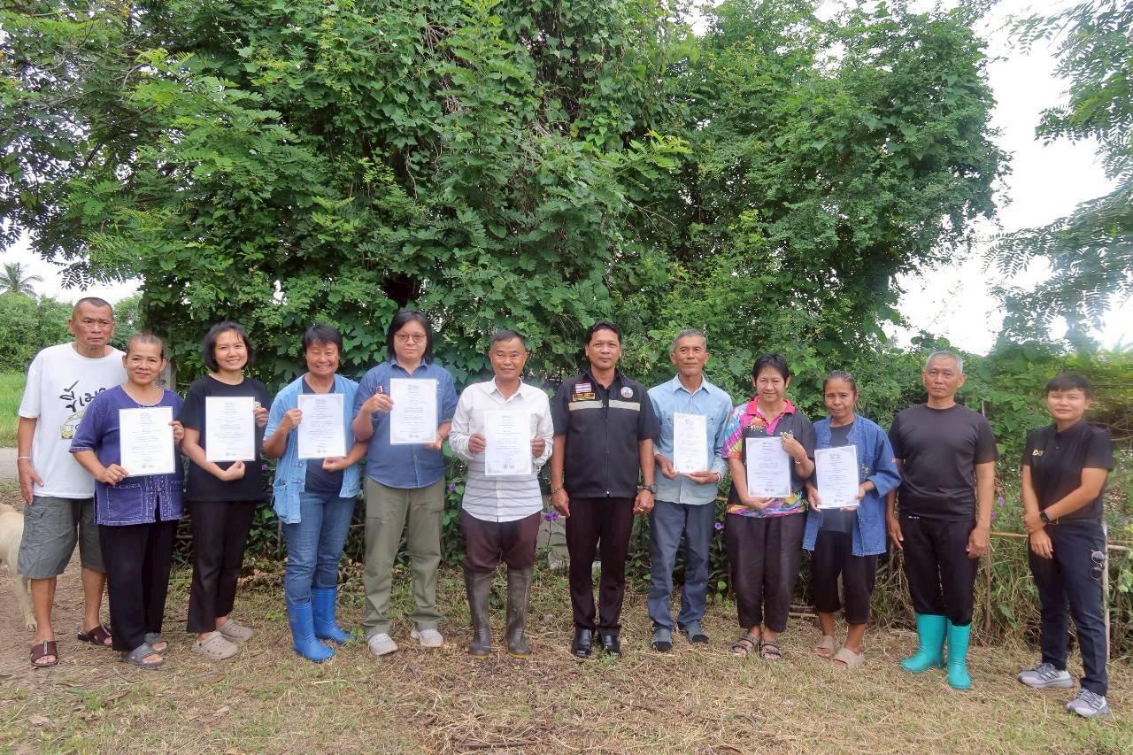 ภาพประกอบที่ 12