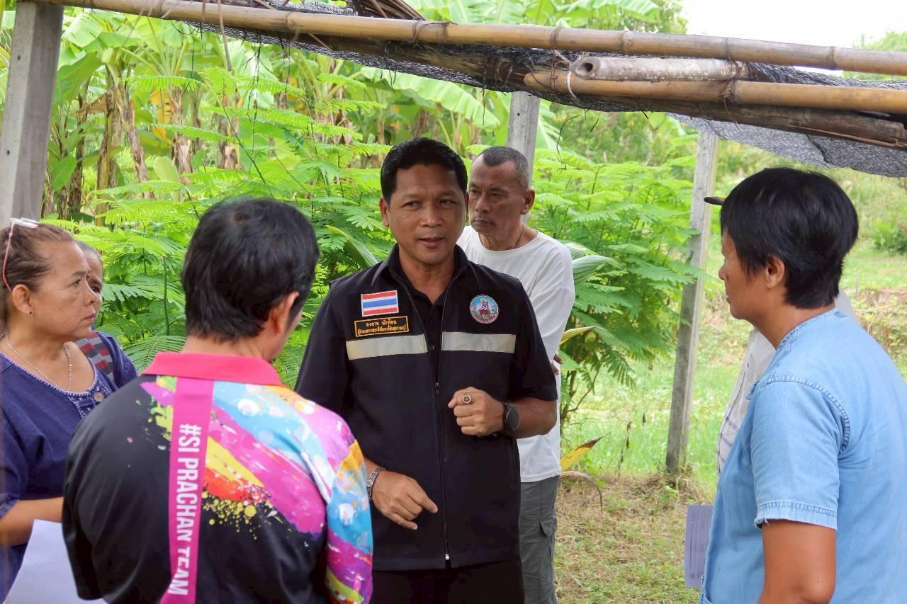 ภาพประกอบที่ 20