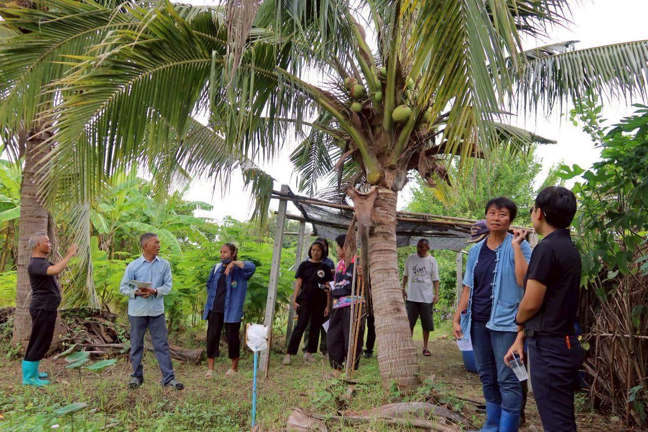 ภาพประกอบที่ 25