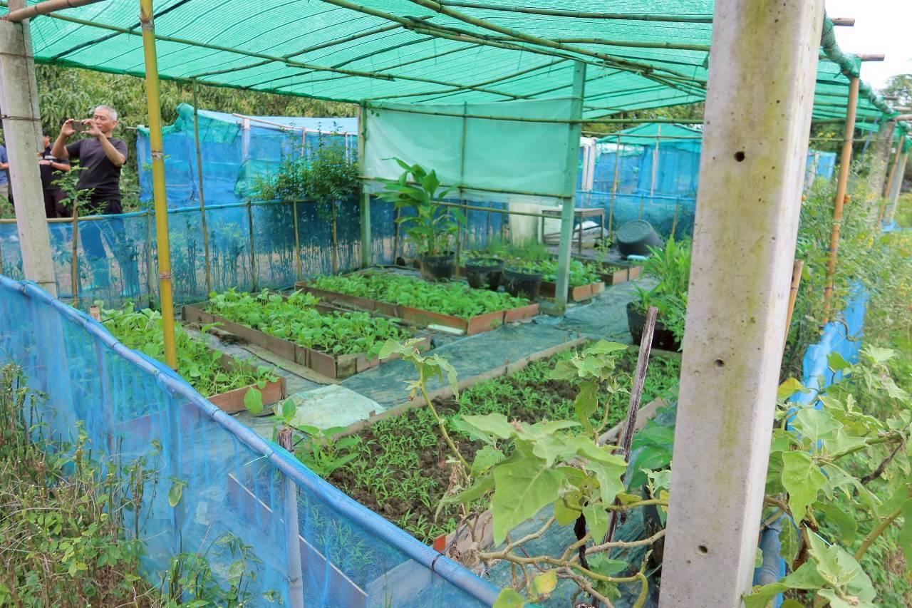 ภาพประกอบที่ 26