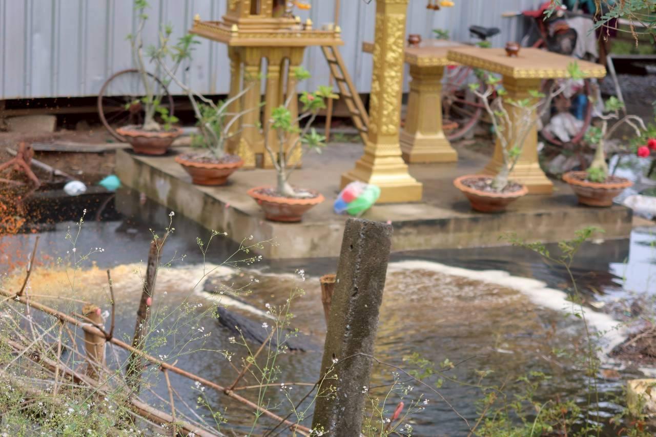 ภาพประกอบที่ 7