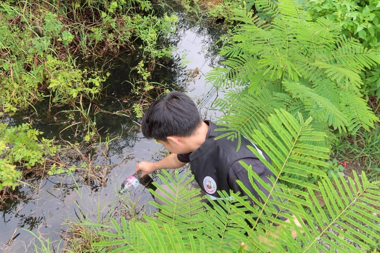 ภาพประกอบที่ 11