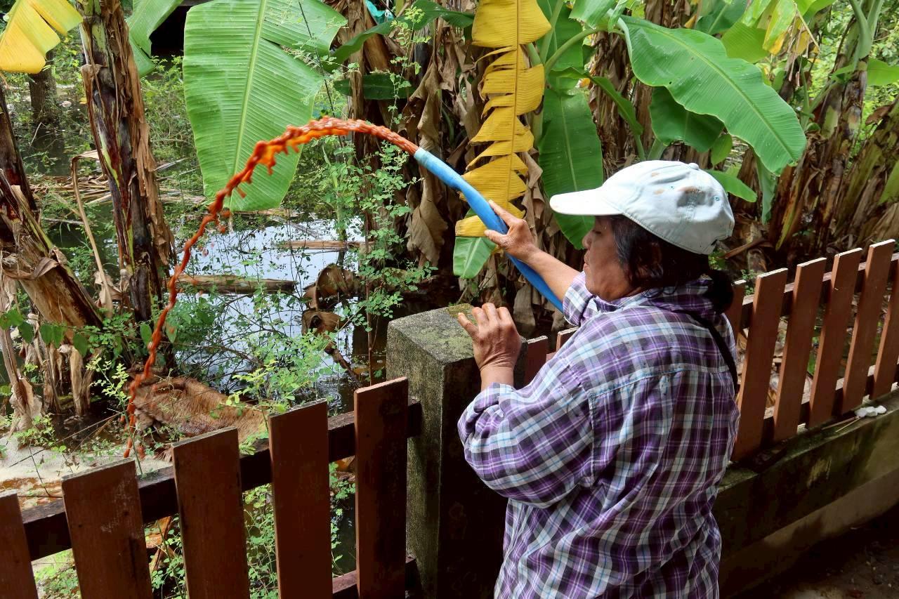 ภาพประกอบที่ 17