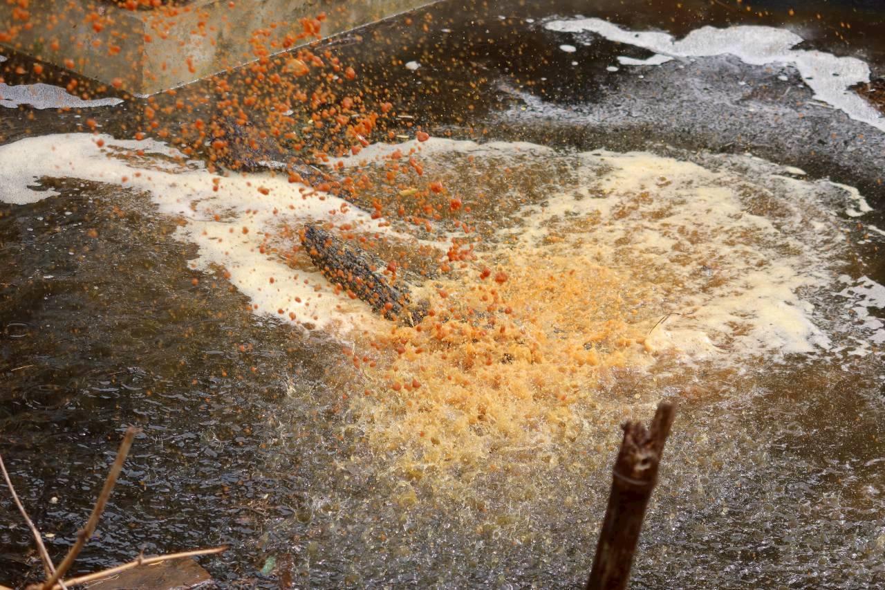 ภาพประกอบที่ 27