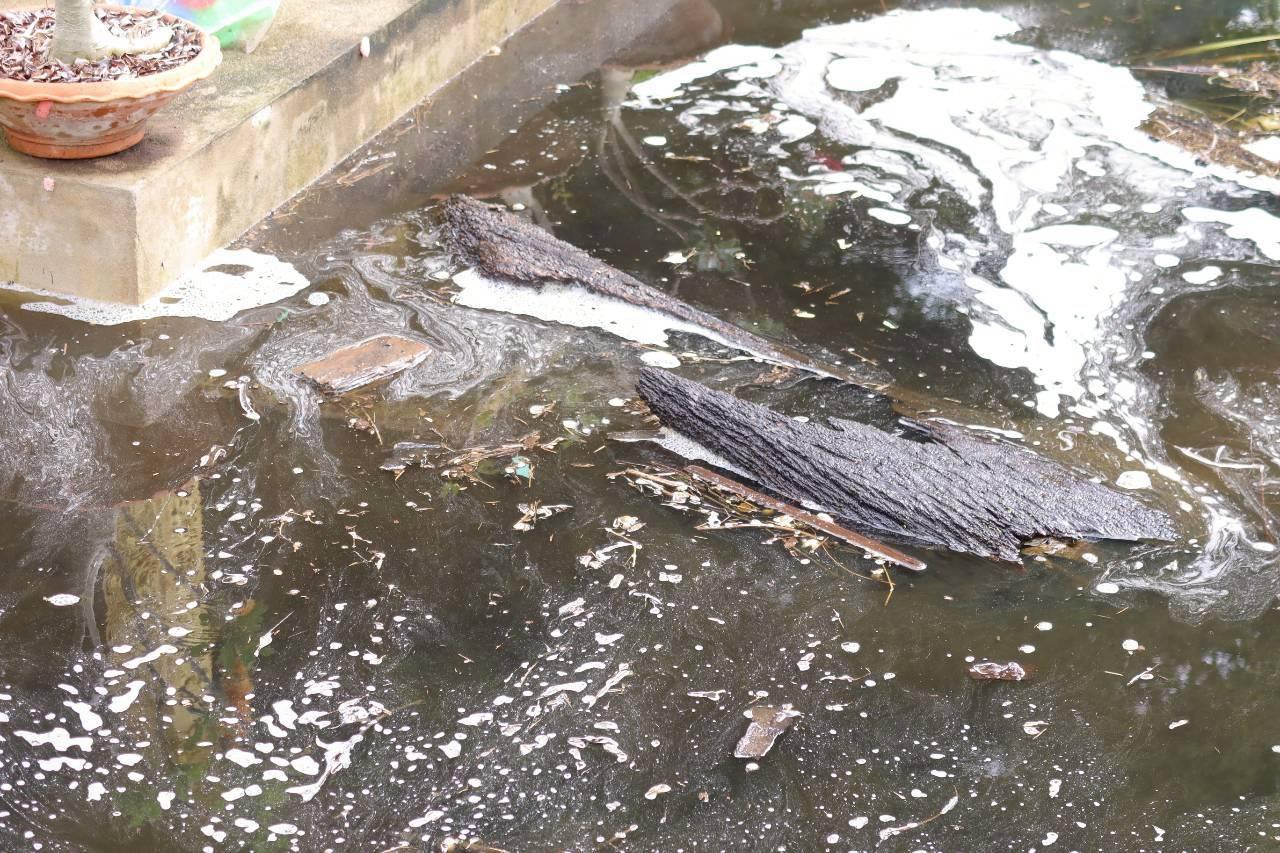 ภาพประกอบที่ 28