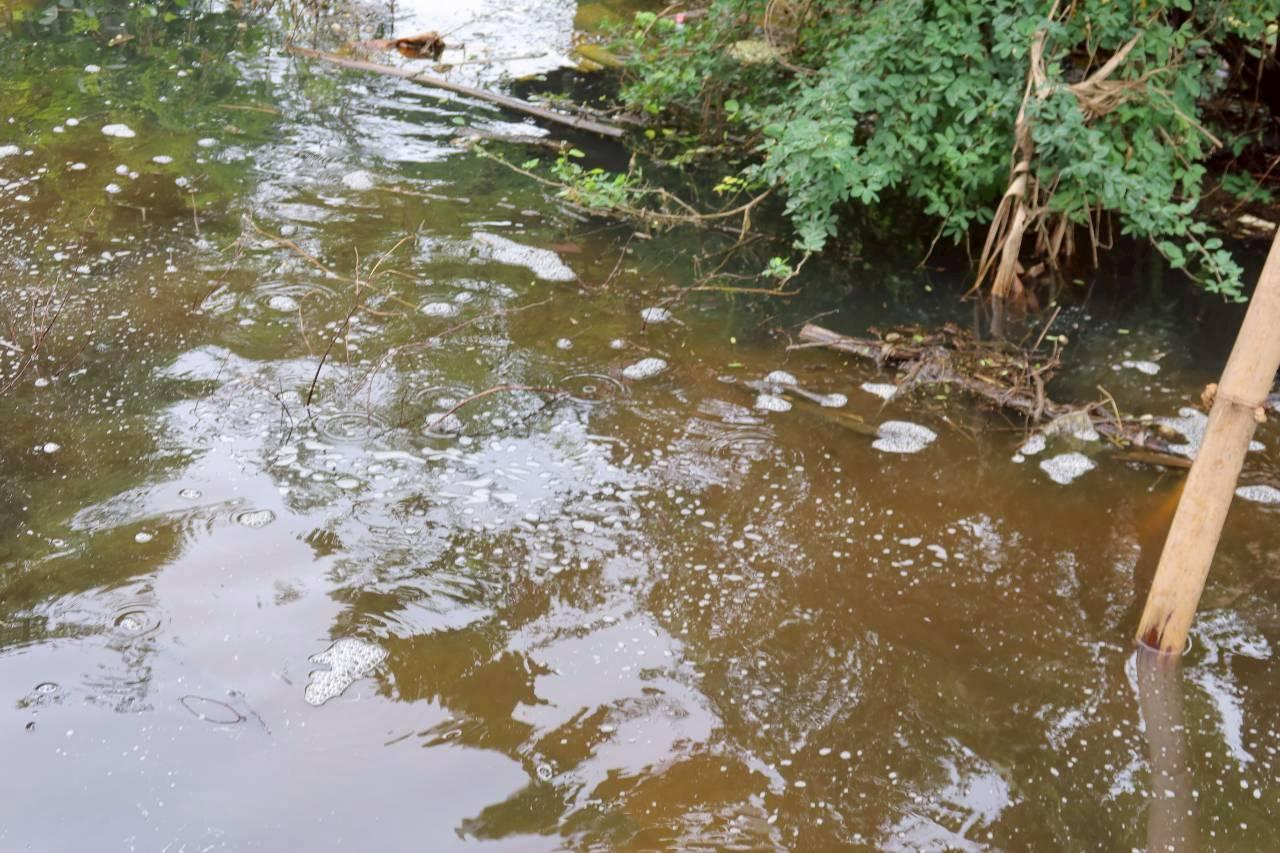 ภาพประกอบที่ 29