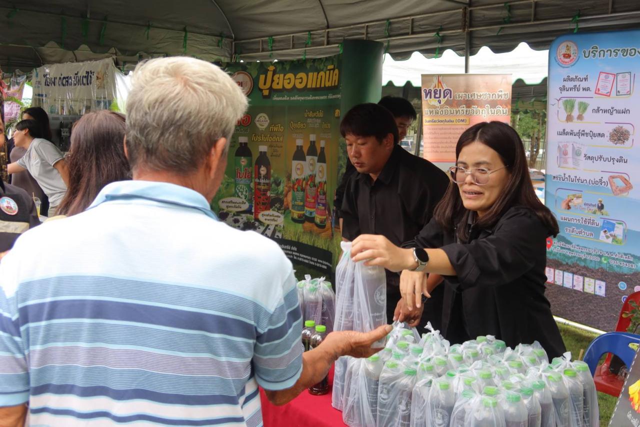 ภาพประกอบที่ 10