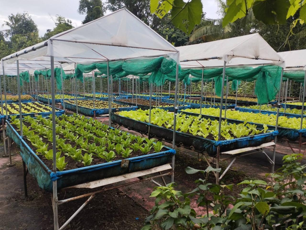 ภาพประกอบที่ 7