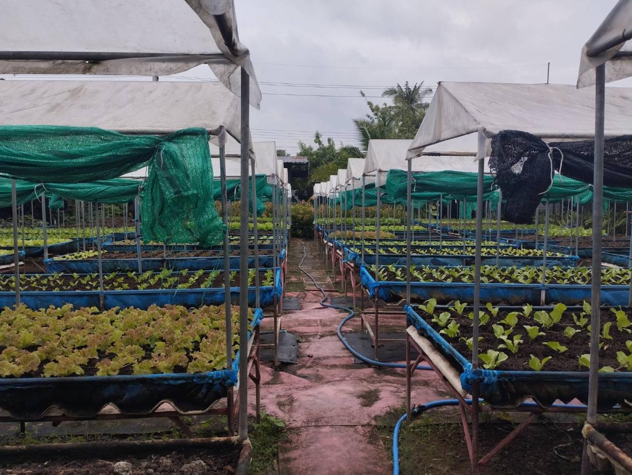 ภาพประกอบที่ 8