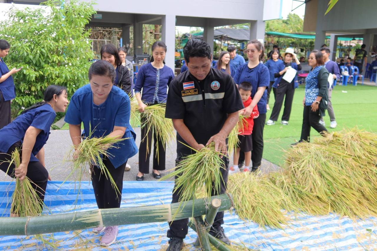 ภาพประกอบที่ 7