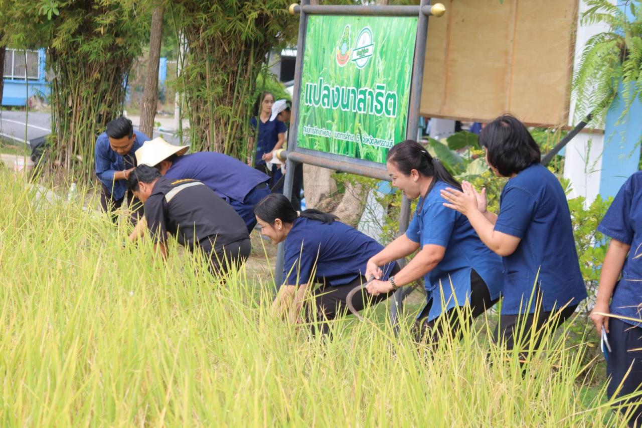 ภาพประกอบที่ 12