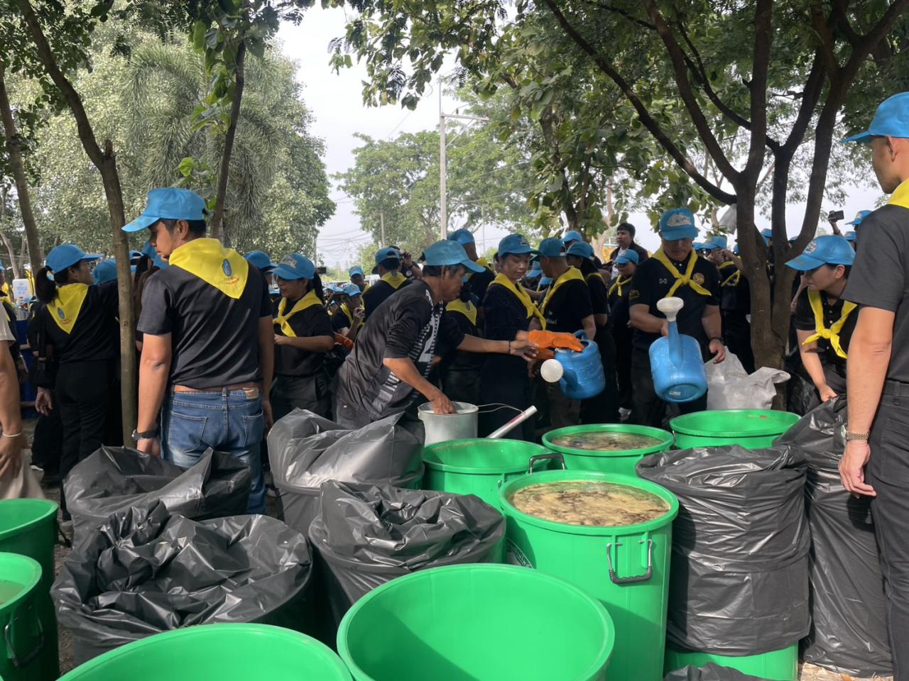 ภาพประกอบที่ 11