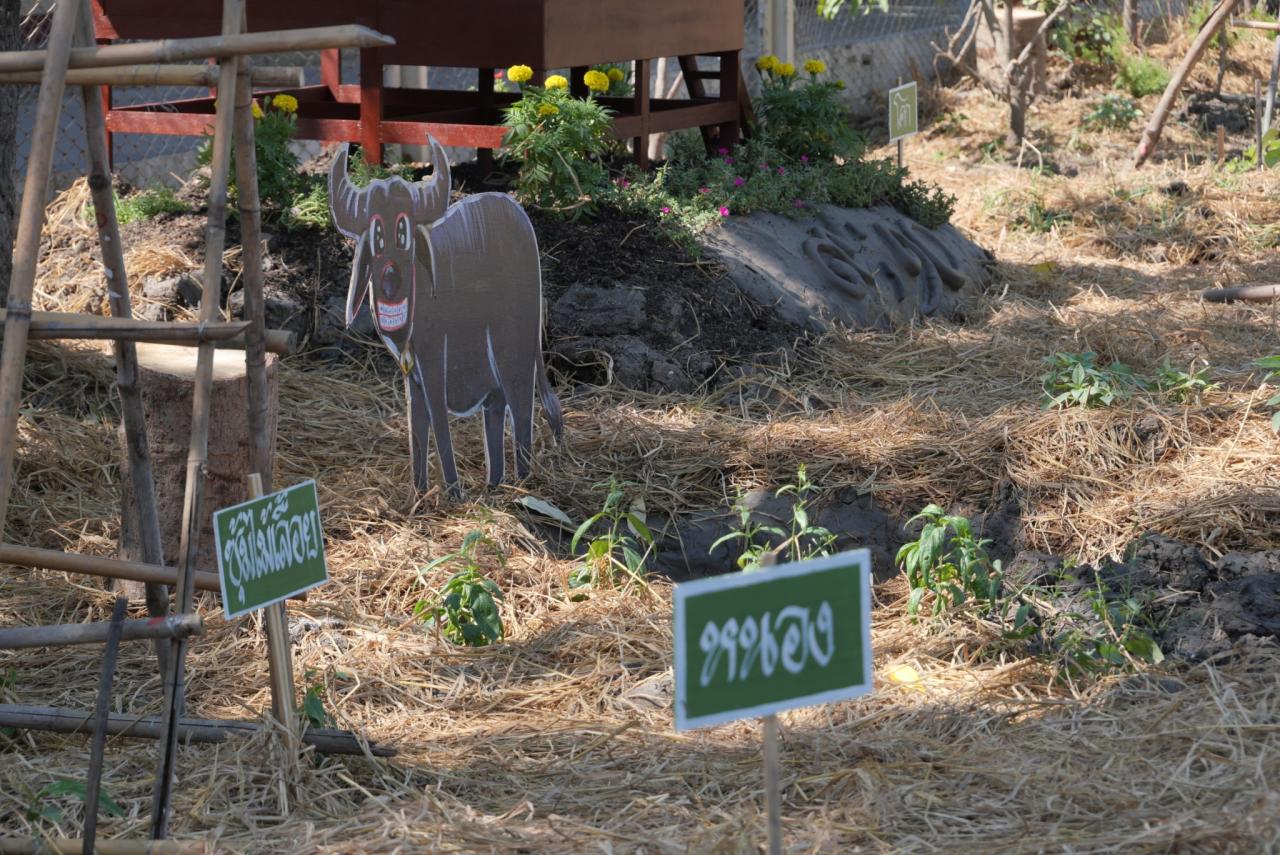 ภาพประกอบที่ 4