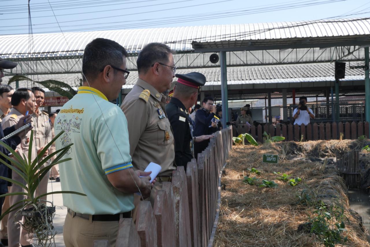ภาพประกอบที่ 5