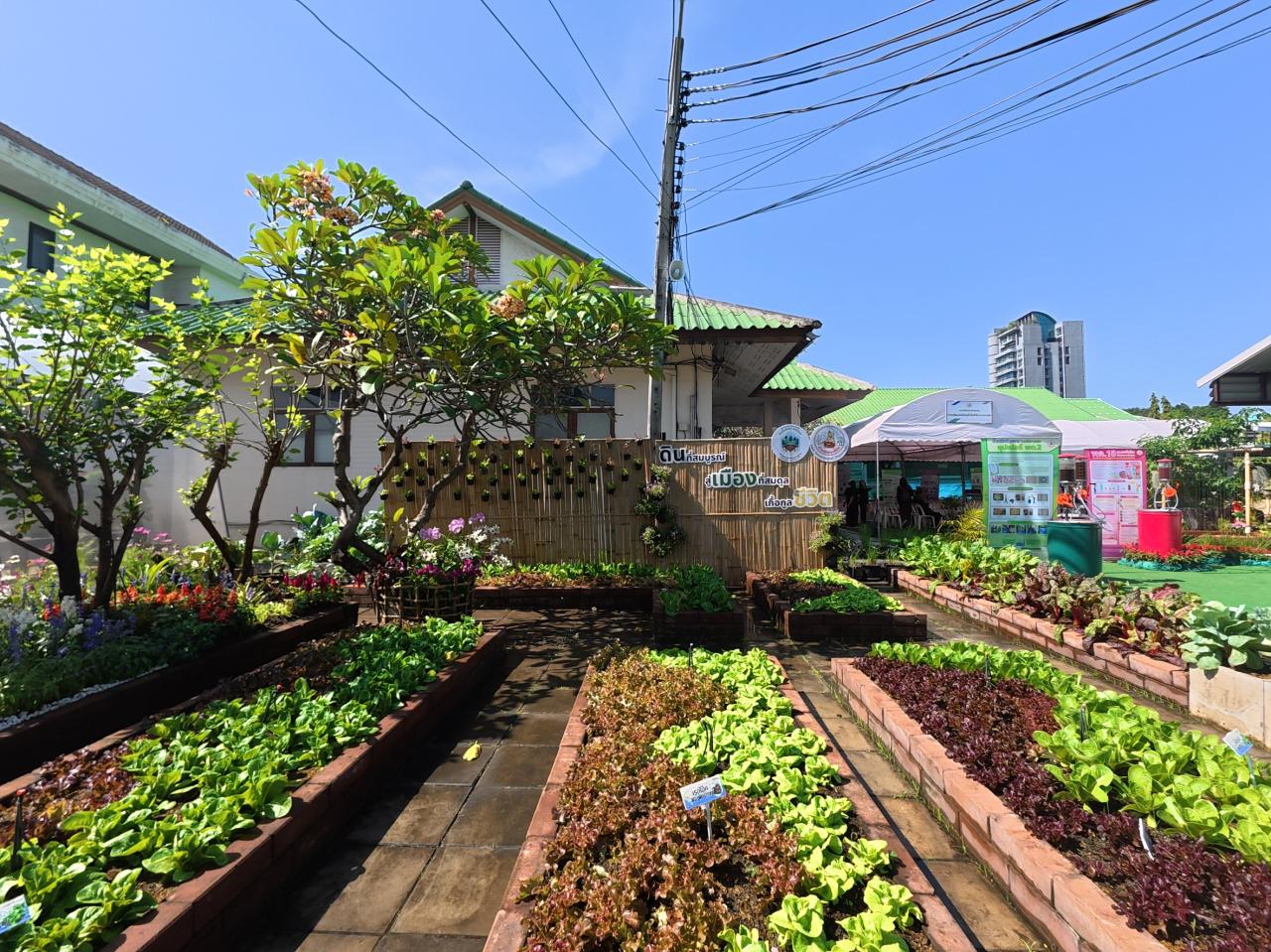 ภาพประกอบที่ 37