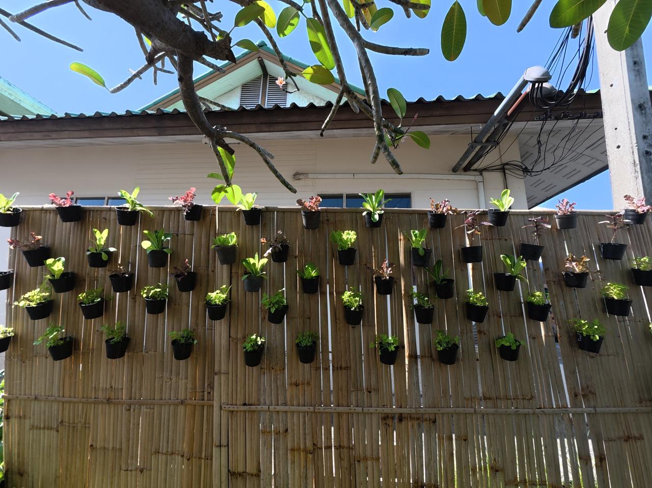 ภาพประกอบที่ 38