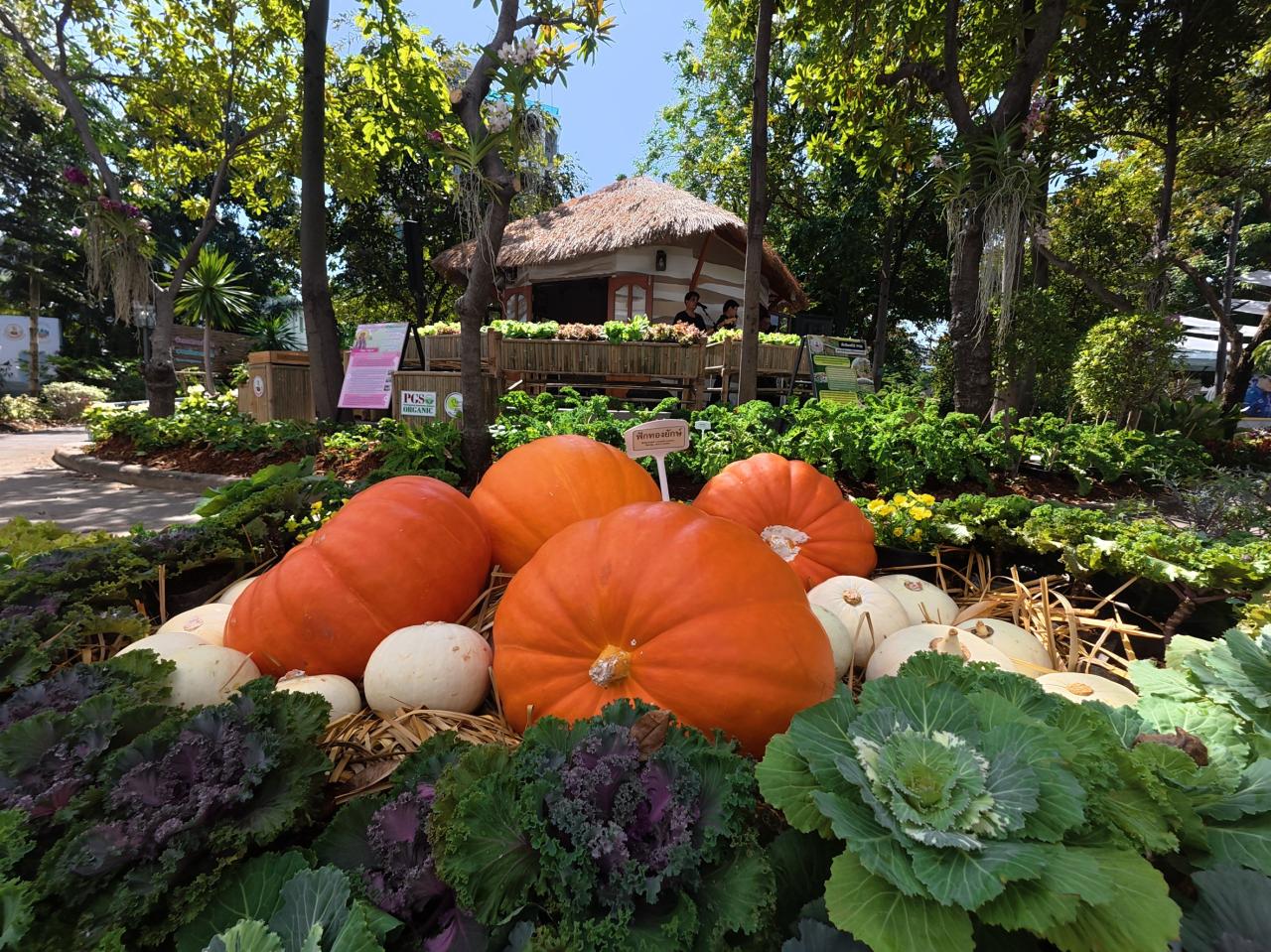 ภาพประกอบที่ 40