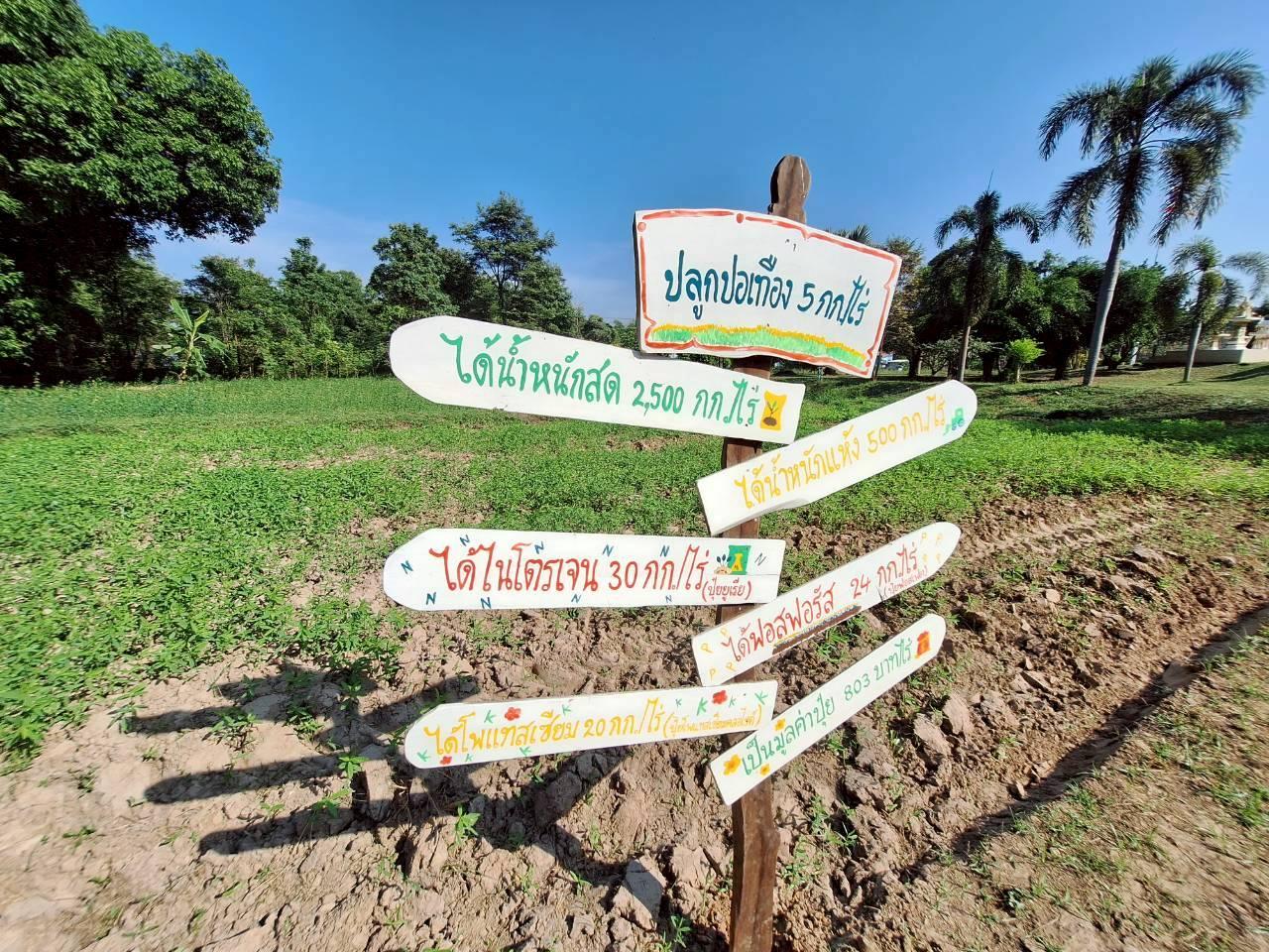 ภาพประกอบที่ 7