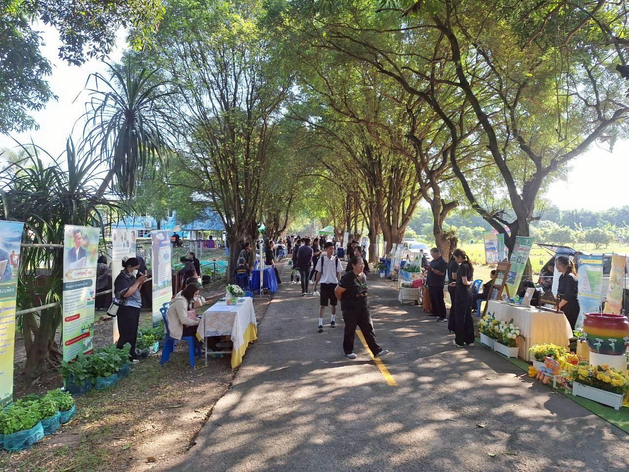 ภาพประกอบที่ 8