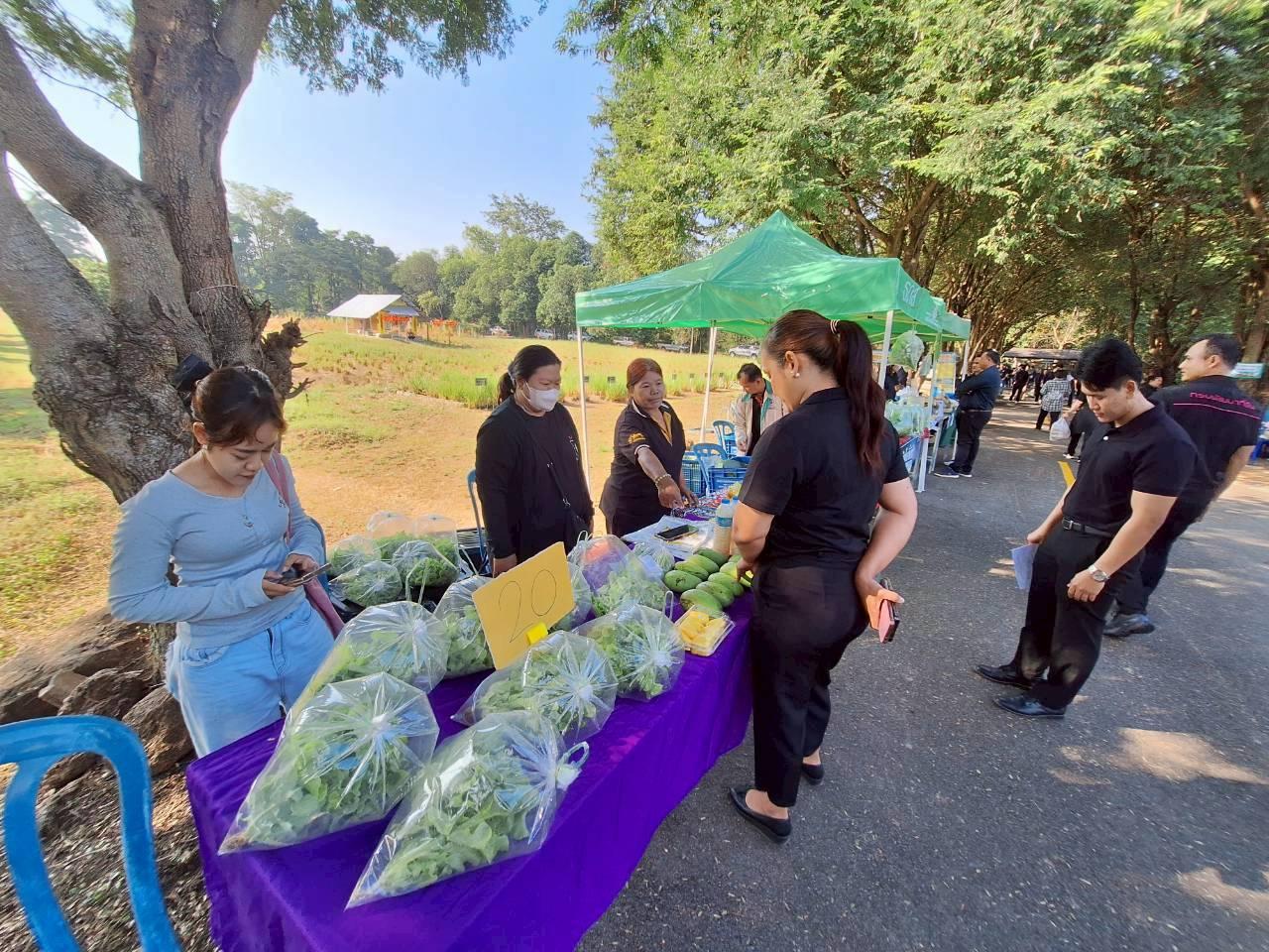 ภาพประกอบที่ 10