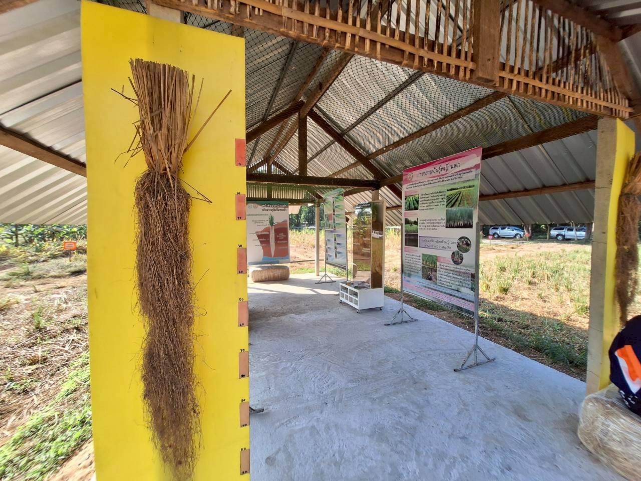 ภาพประกอบที่ 13