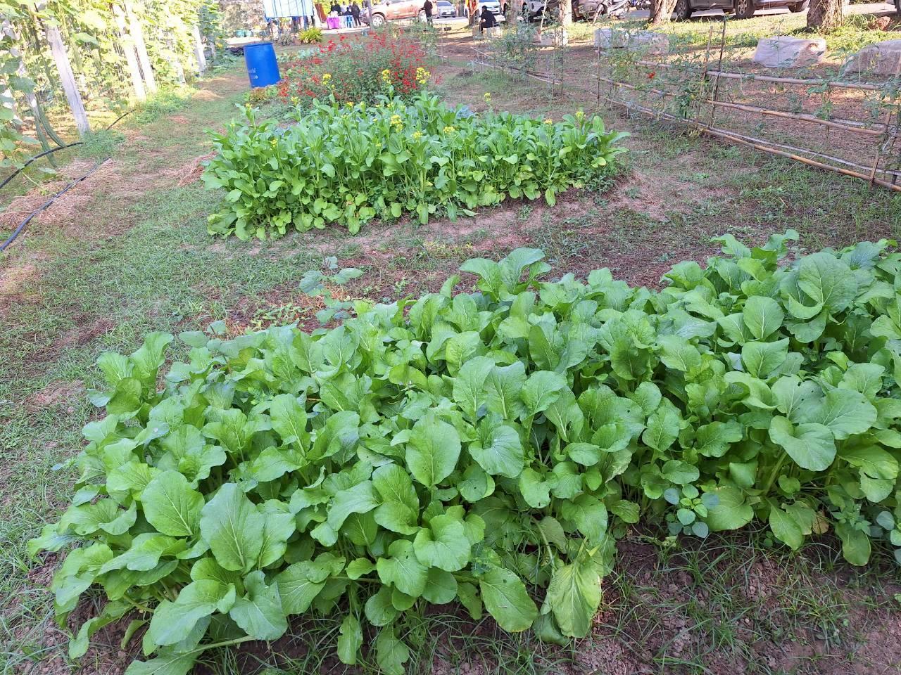 ภาพประกอบที่ 14