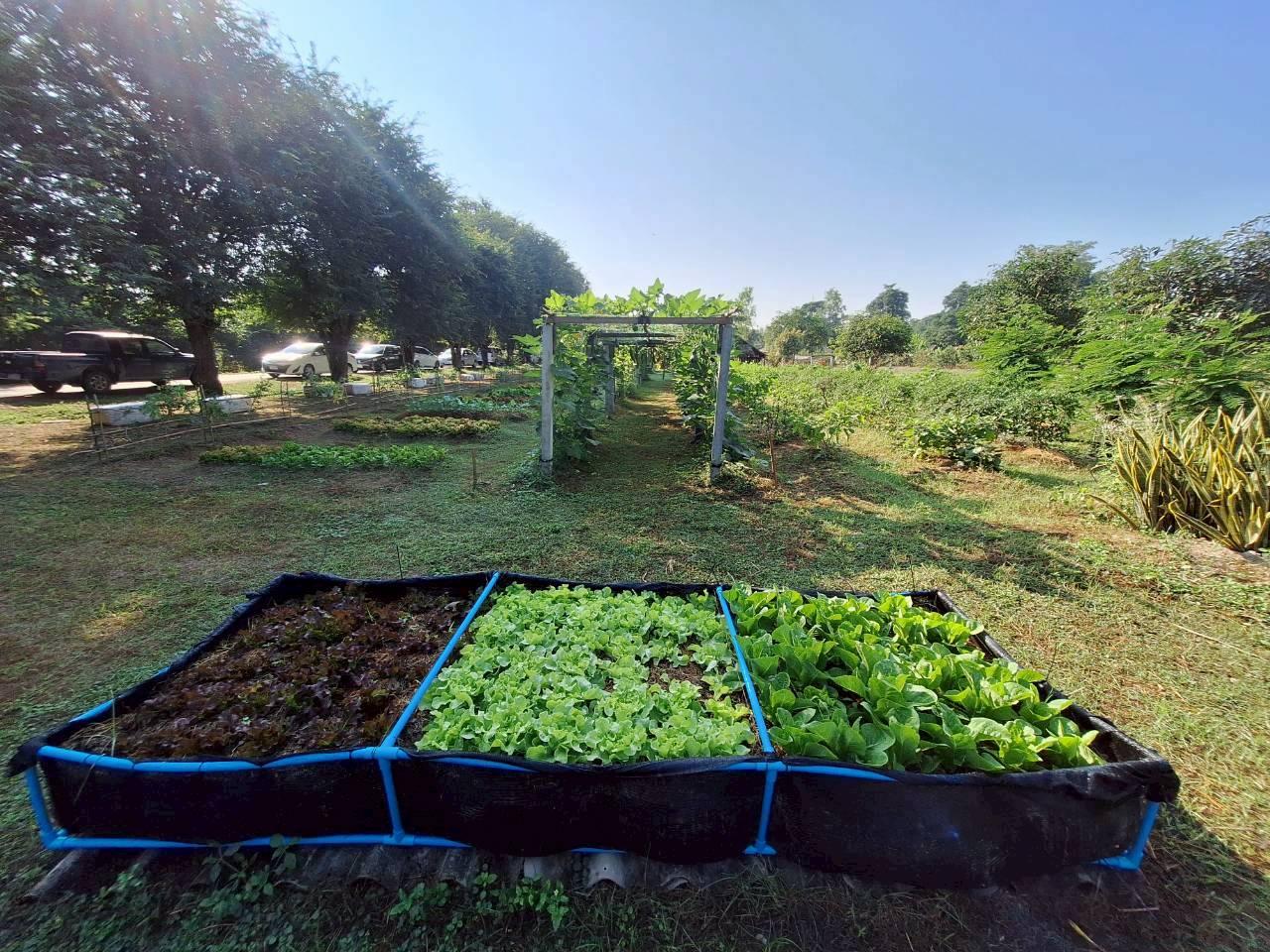 ภาพประกอบที่ 16