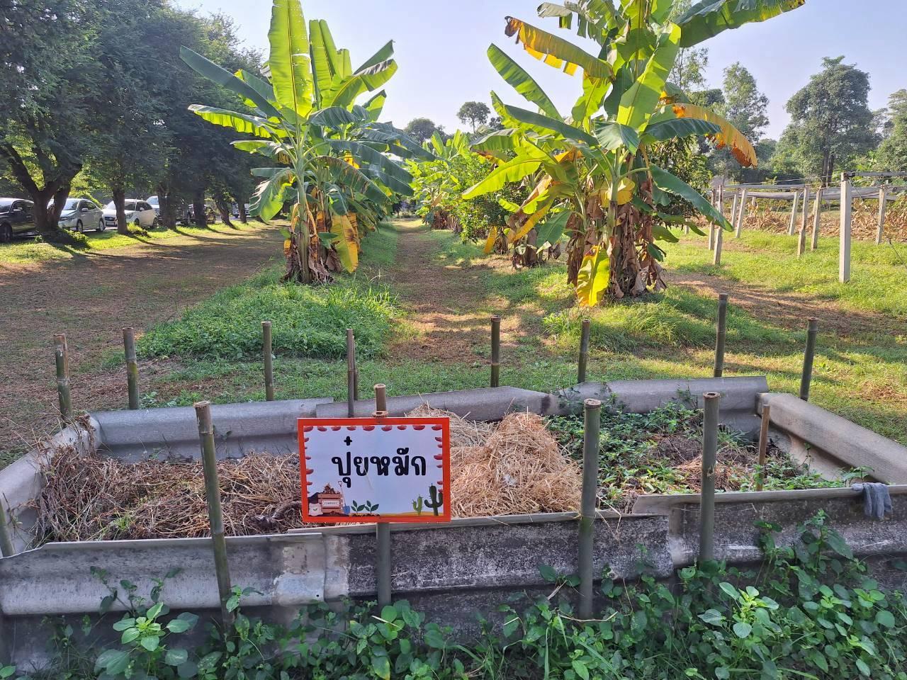 ภาพประกอบที่ 17