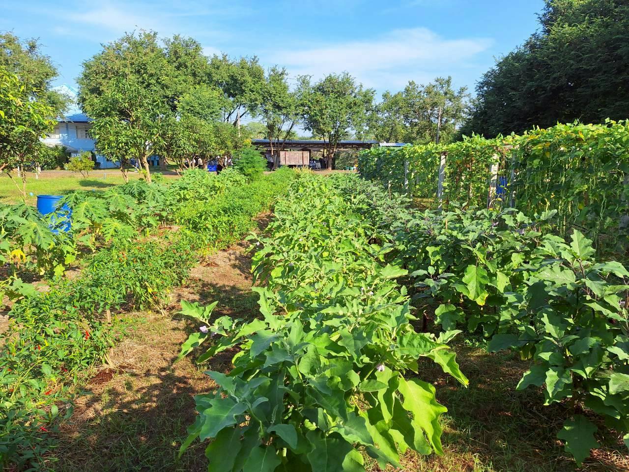 ภาพประกอบที่ 27