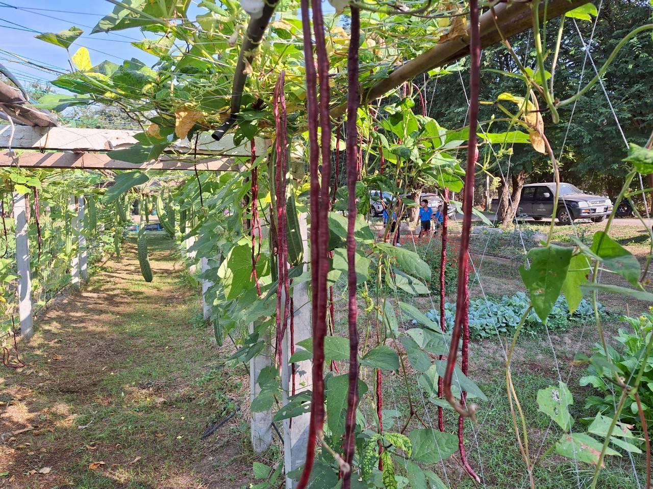 ภาพประกอบที่ 28