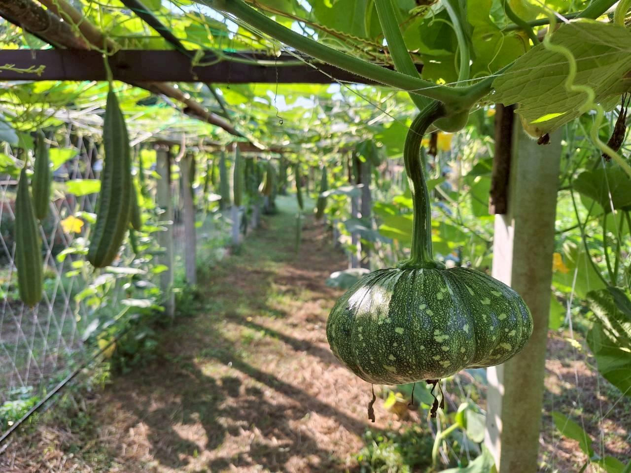 ภาพประกอบที่ 31