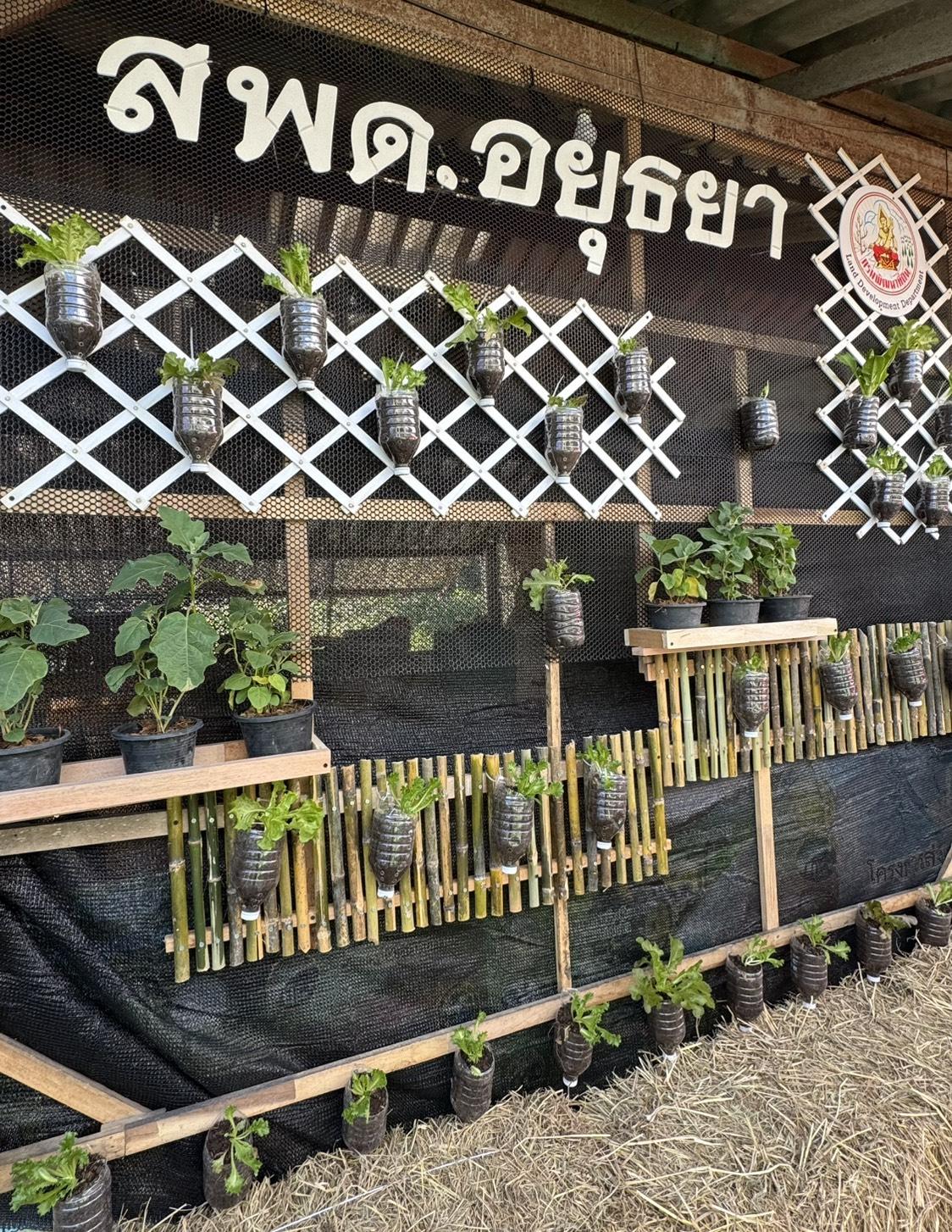 ภาพประกอบที่ 8