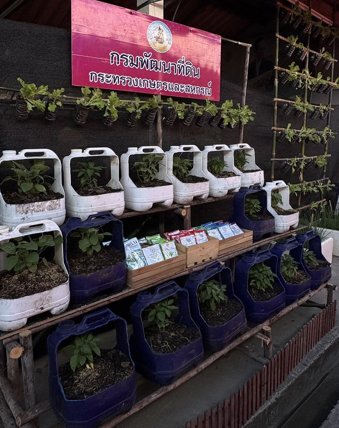 ภาพประกอบที่ 9