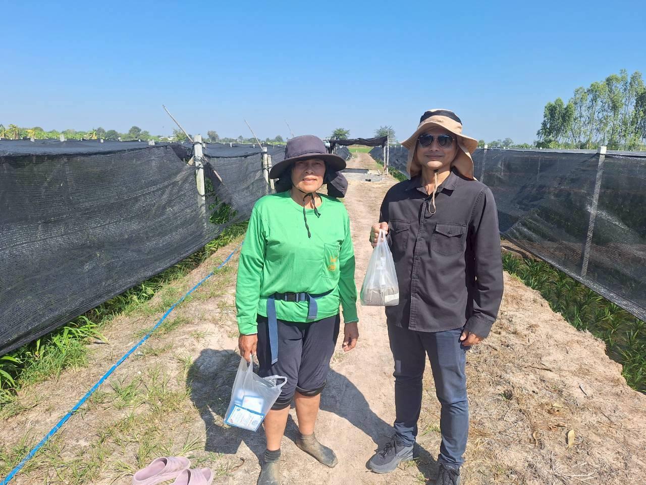 ภาพประกอบที่ 3