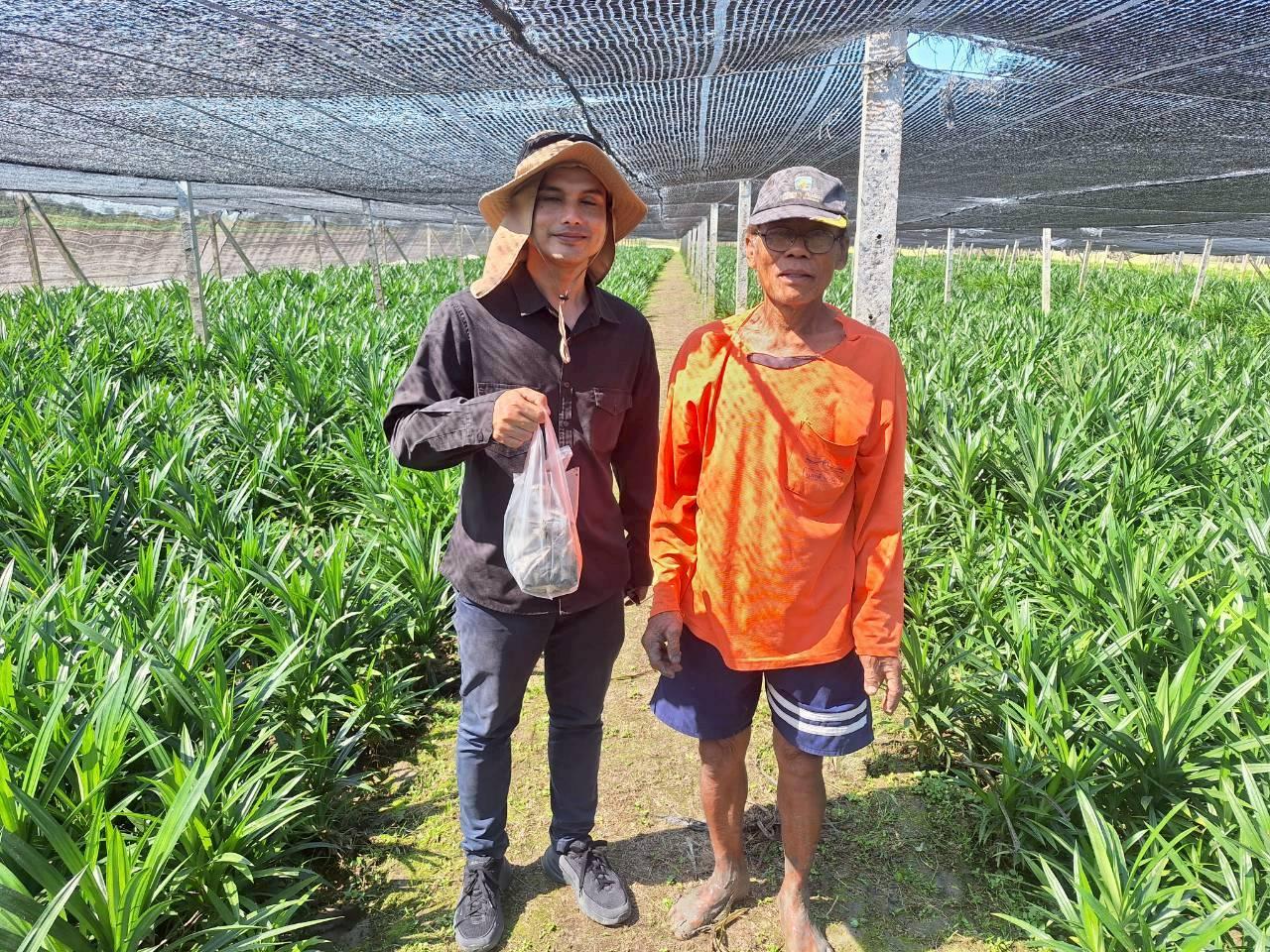 ภาพประกอบที่ 5