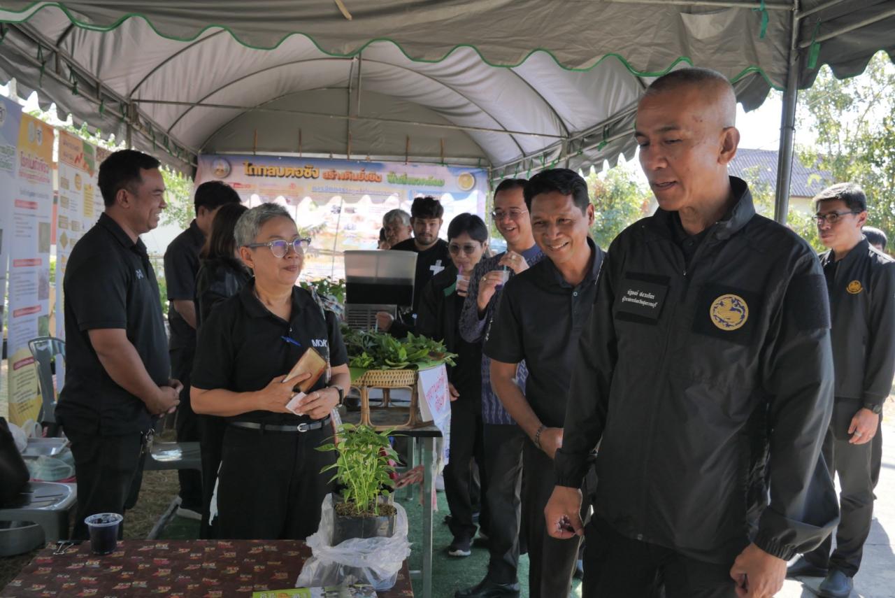 ภาพประกอบที่ 24