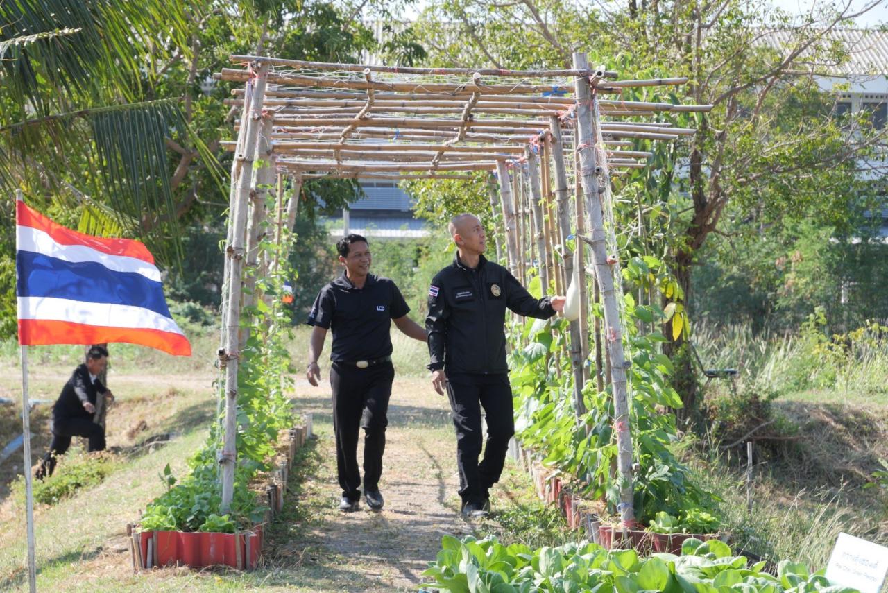 ภาพประกอบที่ 28