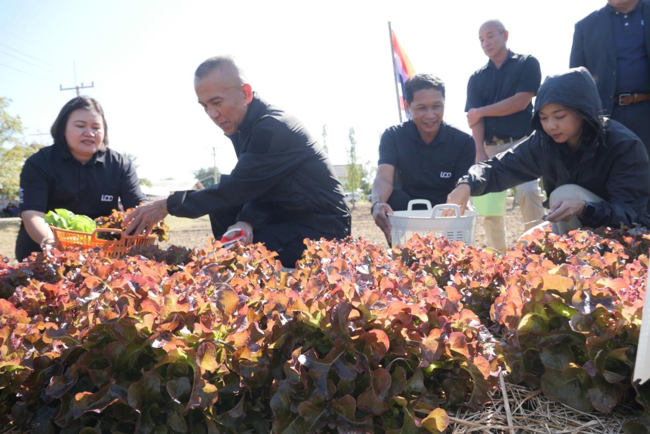 ภาพประกอบที่ 29