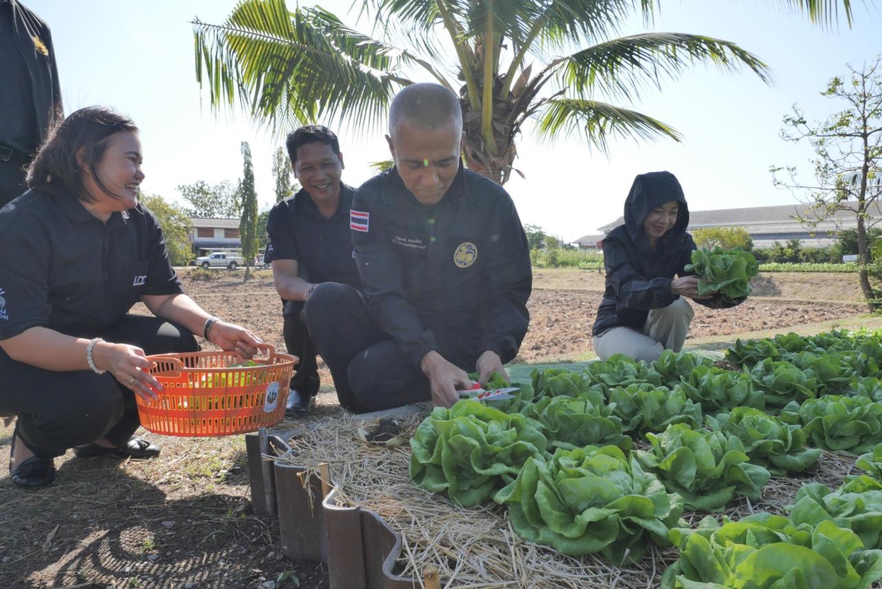 ภาพประกอบที่ 30