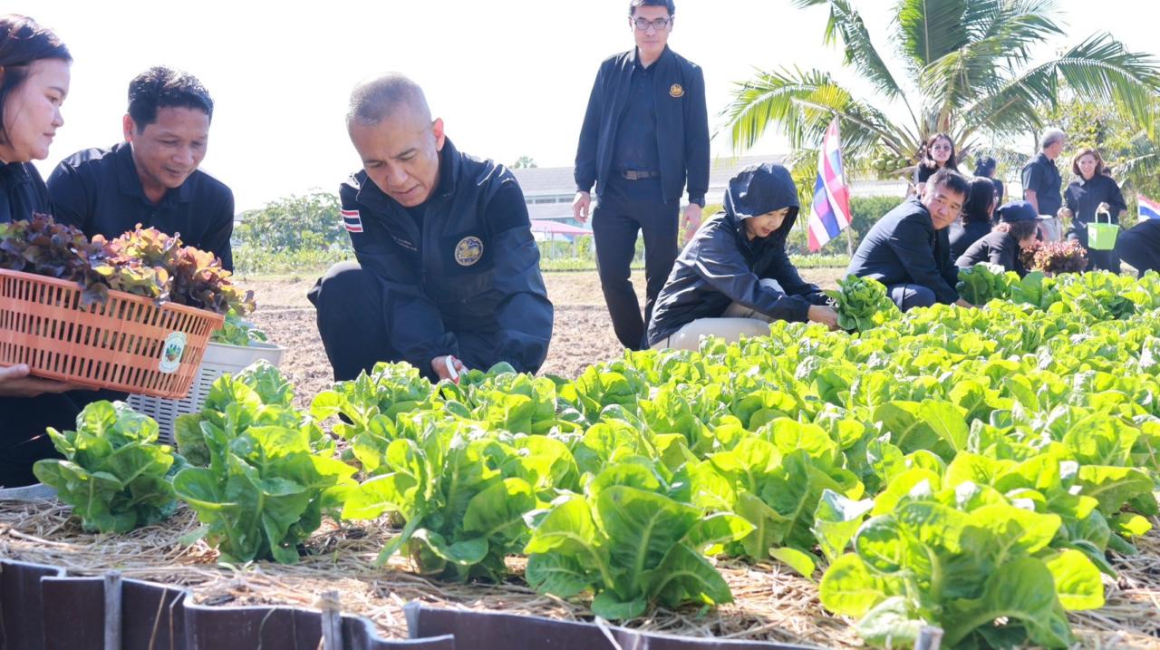 ภาพประกอบที่ 32