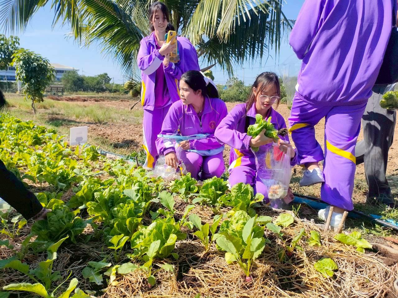 ภาพประกอบที่ 38